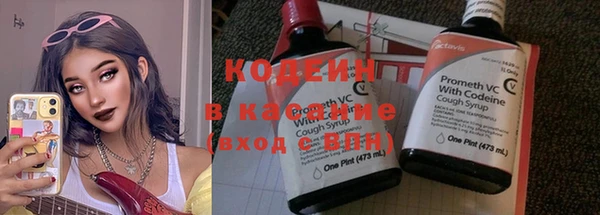 молекула духа Новозыбков