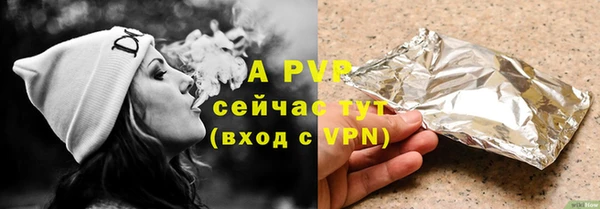 прущие грибы Новокубанск