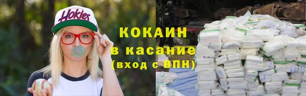 прущие грибы Новокубанск