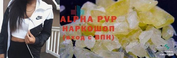 прущие грибы Новокубанск