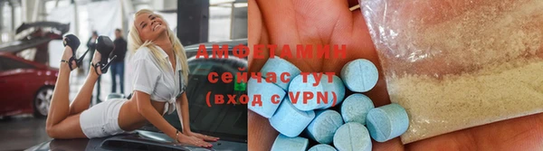 молекула духа Новозыбков