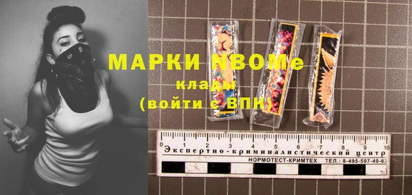 прущие грибы Новокубанск
