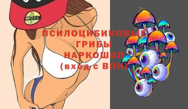 прущие грибы Новокубанск