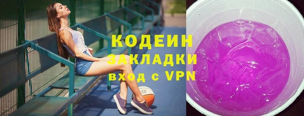 молекула духа Новозыбков