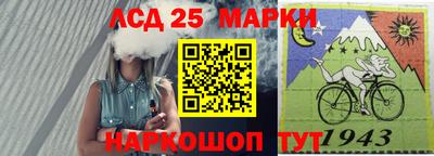 гашик Краснодар