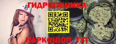 PSILOCYBIN Краснознаменск