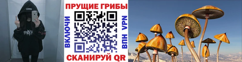 Галлюциногенные грибы Magic Shrooms  цены   Кингисепп 