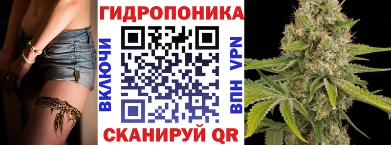 Бошки Шишки гибрид  где можно купить   ссылка на мегу ССЫЛКА  Кингисепп 