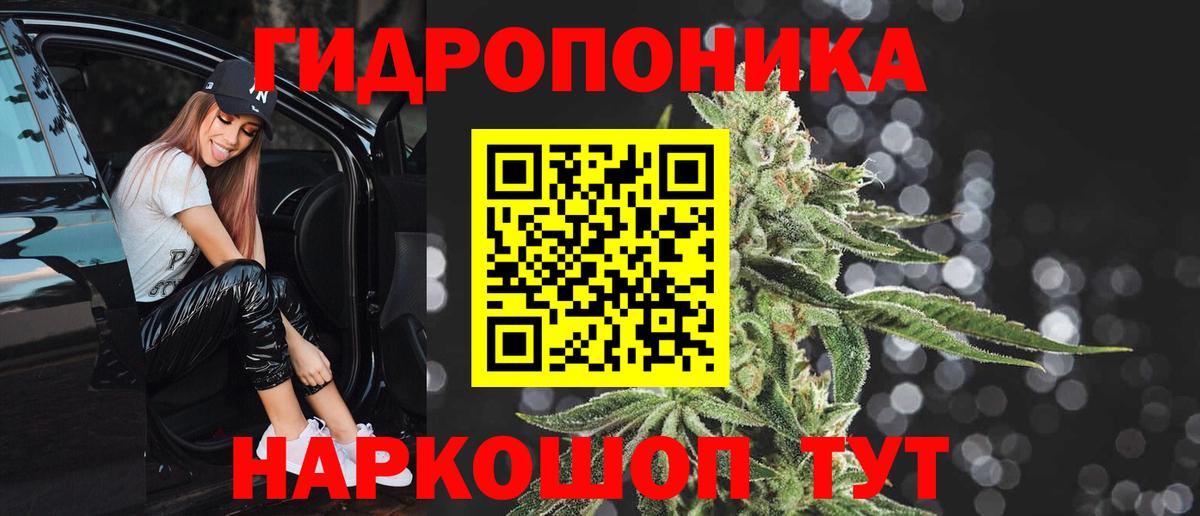 Конопля индика Кингисепп